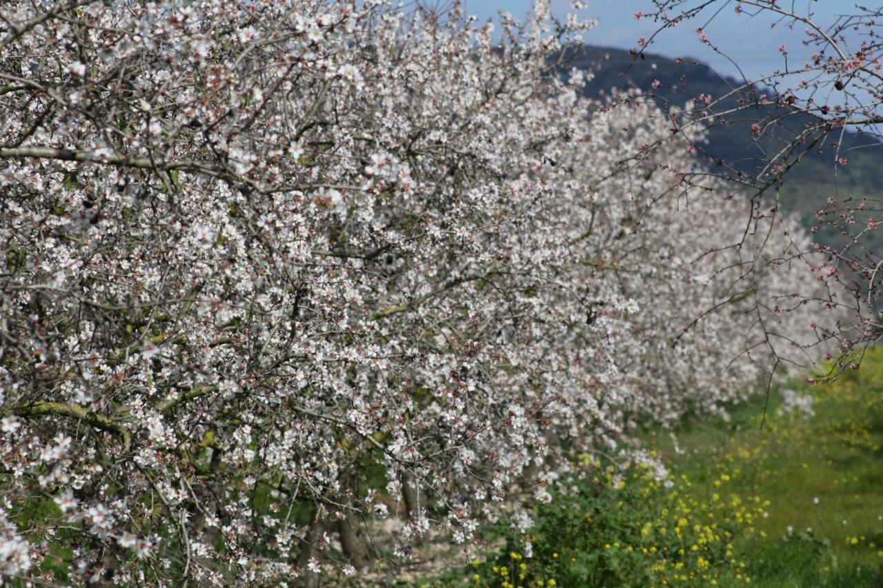 סנטה מרגלידה 054 Finca Es Bosquerro Etv5362 By Mallorca Charme מראה חיצוני תמונה